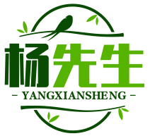 杨先生